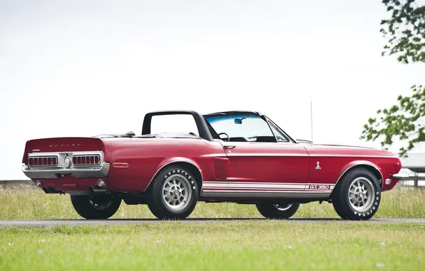 Picture the sky, grass, red, Mustang, Ford, Shelby, Ford, Mustang