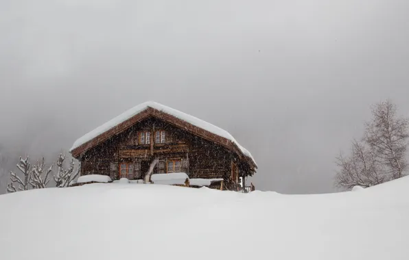 Winter, the storm, snow, cabin, housing, the gray sky