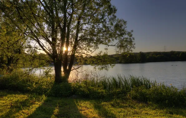 The sky, the sun, rays, trees, lake, shore, Germany, Of Wettenberg