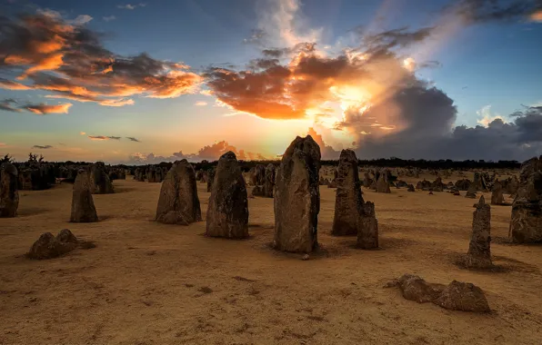 Field, the sky, the sun, clouds, rays, light, sunset, clouds