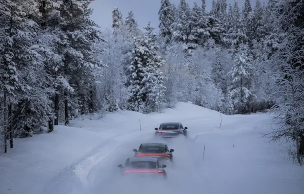 Forest, snow, movement, Porsche, back, 2020, Taycan, Taycan 4S