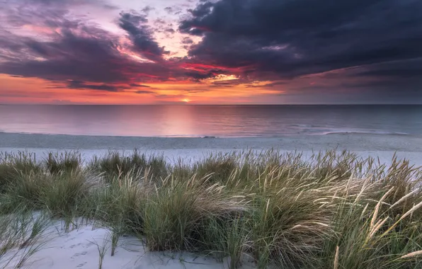 Picture sand, sea, grass, landscape, sunset, clouds, nature, shore