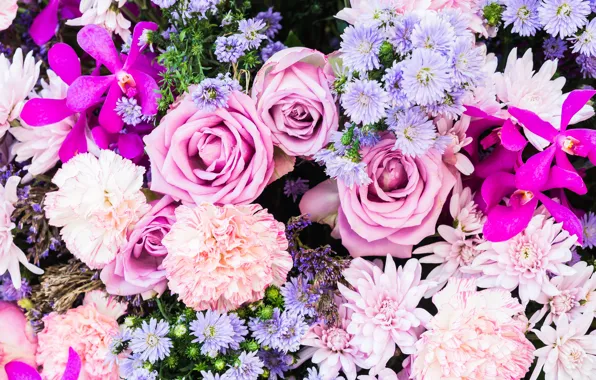 Flowers, roses, bouquet, pink, chrysanthemum, a lot, different, clove