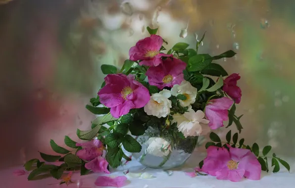Picture drops, flowers, bouquet, window, briar, vase