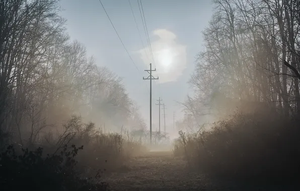 Picture landscape, fog, morning, power lines
