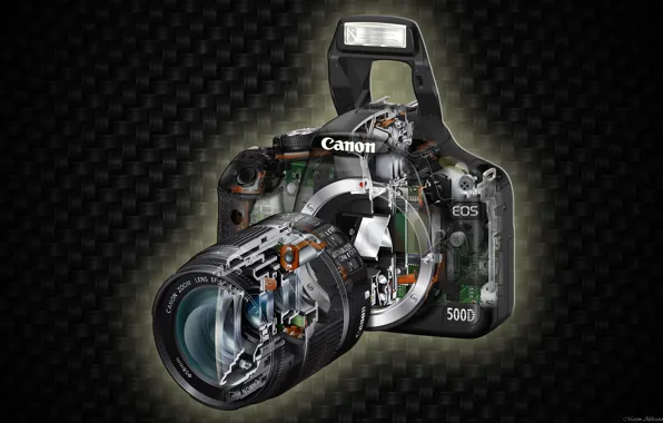 The camera, Canon, EOS 500D