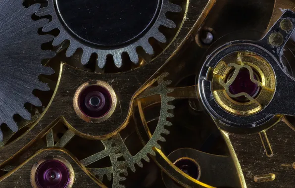 Macro, time, metal, watch, mechanism, gear