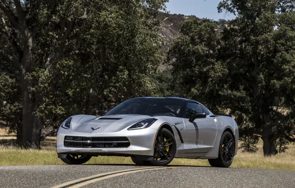 Picture Corvette, Chevrolet, Stingray, 201