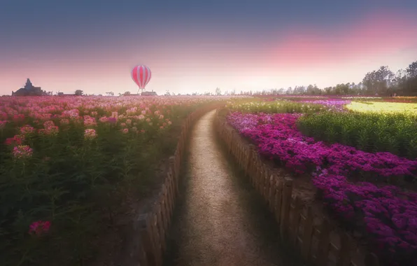 Road, field, summer, the sky, flowers, fog, Park, balloon