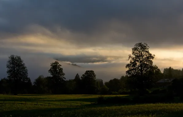 Summer, rays, trees, dawn, Bayern