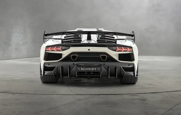 Power, supercar, sports car, supercar, Lamborghini Aventador, Mansory, sports car, the only instance