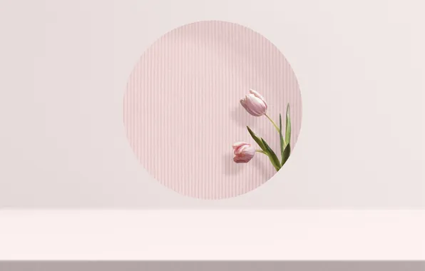 Flowers, wall, round, minimalism, tulips, pink, Duo, pink background