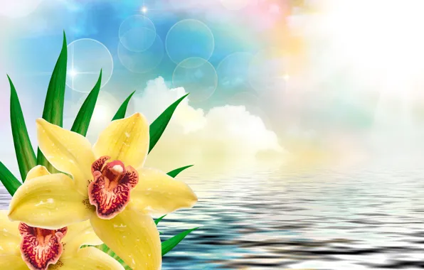 Picture the sky, leaves, water, the sun, clouds, flowers, yellow, glare