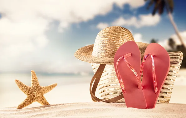 Sand, beach, summer, hat, starfish, summer, bag, beach