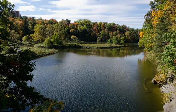 Picture Autumn, Lake, USA, USA, Fall, Autumn, Colors, Lake