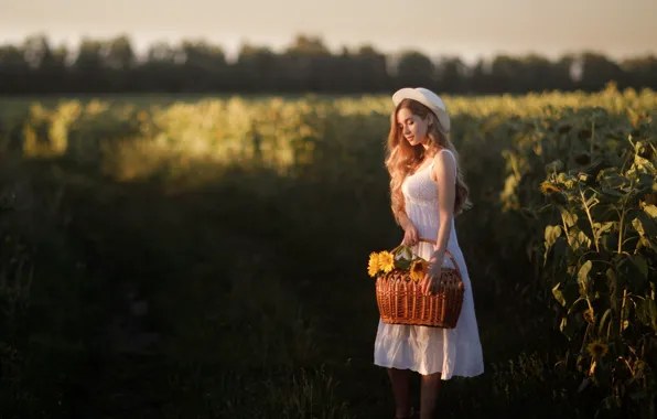 Sunflowers, basket, Girl, dress, hat, Ilya Garbuzov, Anastasia Abramova
