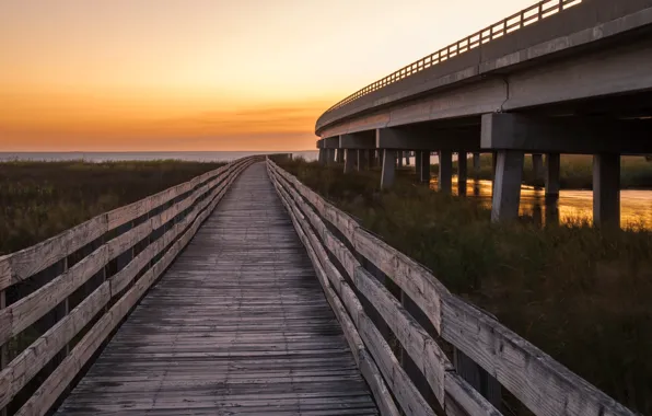 The sky, shore, bridges