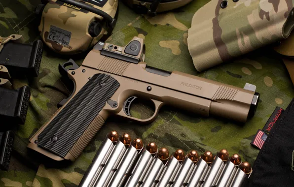 Gun, flashlight, clips, Nighthawk Custom