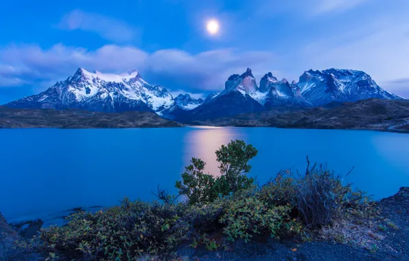 Picture lake, dawn, morning, Chile, Chile, Patagonia, Torres del Paine