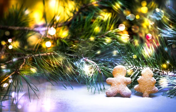 Winter, light, snow, branches, holiday, men, lights, cookies