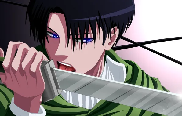 Anime, art, Shingeki no Kyojin, Attack of the titans, The invasion of the giants, Levi, …