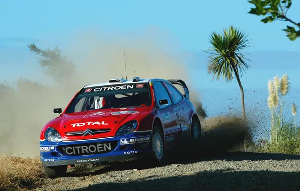 Red, Auto, Sport, Machine, Speed, The hood, Day, Citroen