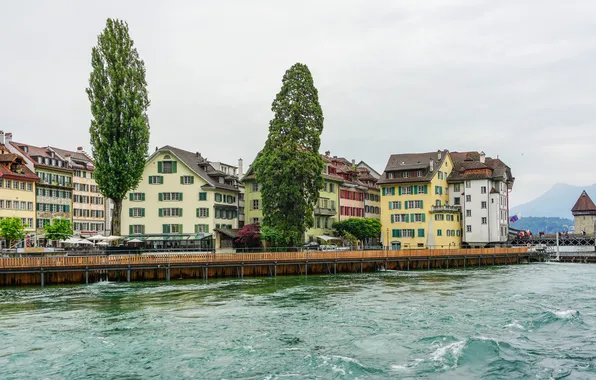 Picture trees, lake, home, Switzerland, promenade, Lucerne