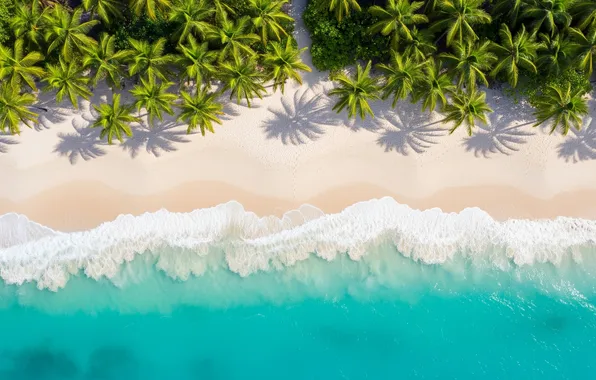 Sand, wave, beach, water, palm trees, Wallpaper, shore, waves