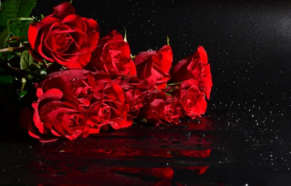 Picture drops, roses, bouquet, black background, red roses