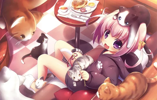 Cats, Girl, Anime, Food, Cats, Table