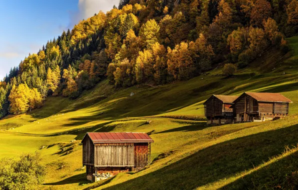 Picture autumn, the sun, trees, mountains, slope, Alps, meadow, house