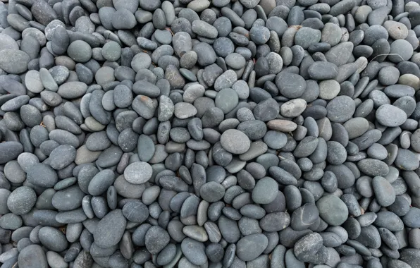 Picture beach, pebbles, stones, background, beach, texture, marine, sea