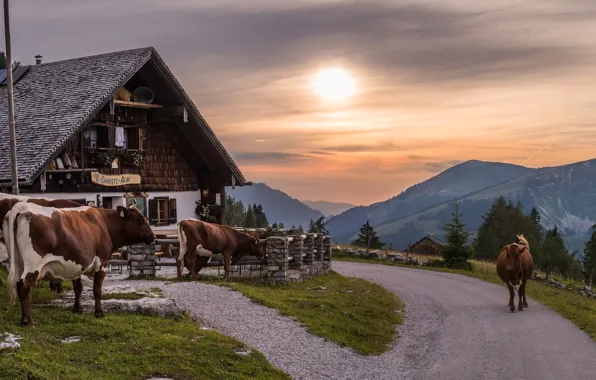 Road, the sky, the sun, clouds, fog, house, the slopes, height