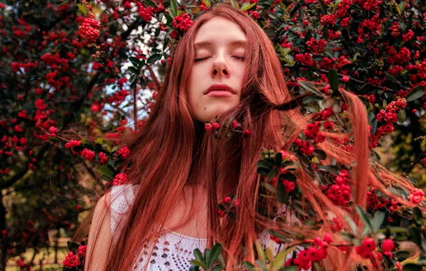 Trees, fruit, trees, Nega, fruits, closed eyes, charming, closed eyes