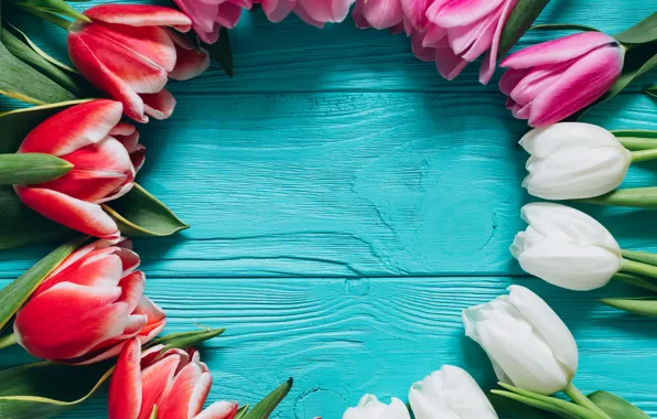 Picture Flowers, Spring, Tulips, Background