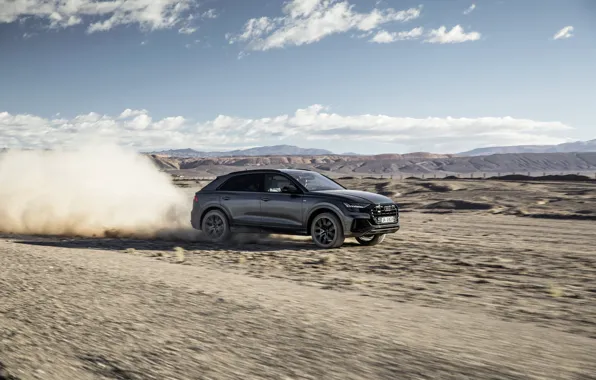The roads, Quattro, 2018, crossover, S-Line, 55 TFSI, Audi Q8