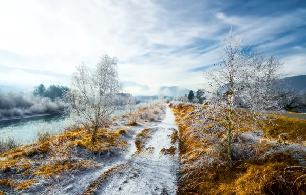 Road, snow, nature