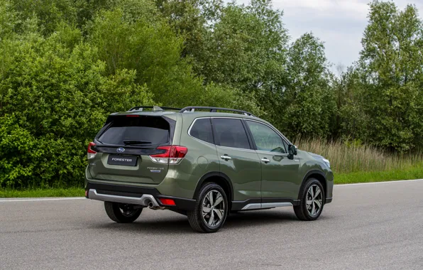 Subaru, side, crossover, AWD, Forester, 2019