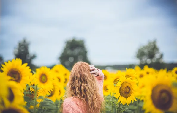 Field, the sky, girl, clouds, trees, hair, back, hands