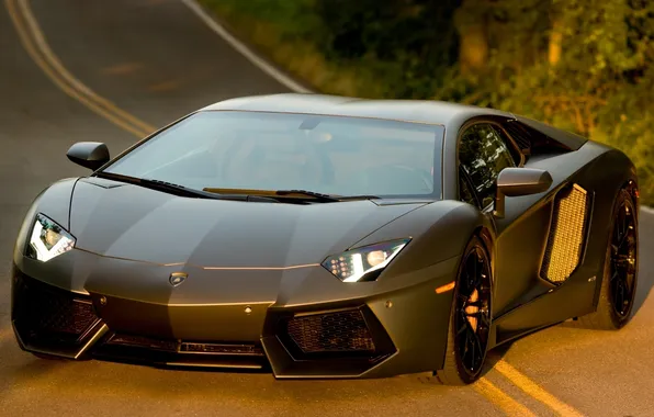 Road, Lamborghini, Aventador