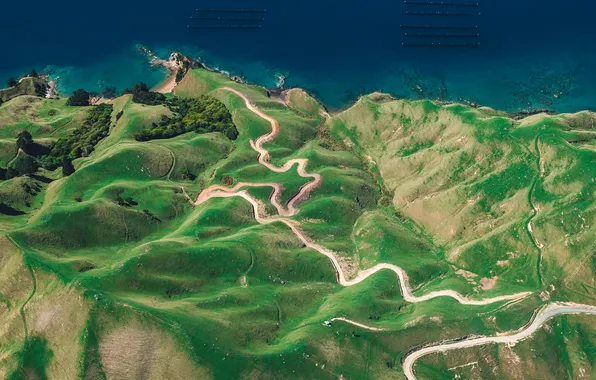 Island, new zealand, d urville