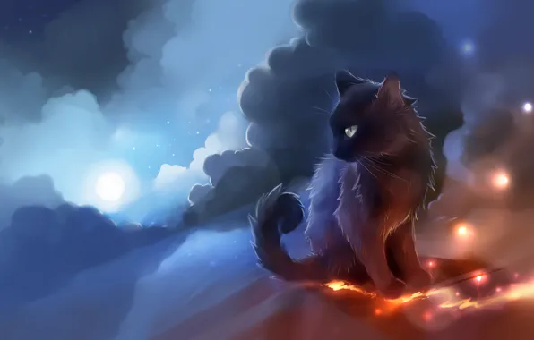 Cat, the sky, clouds, the moon, lights, black, apofiss