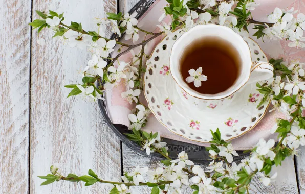 Spring, flowering, blossom, flowers, cup, spring, tea, Cup of tea