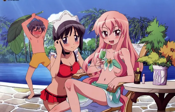 Girls, cocktail, swimwear, zero no tsukaima, Improvised Louise The Zero