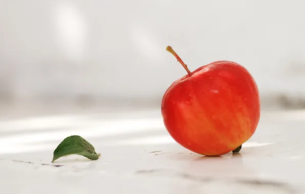 Autumn, fruit, garden, Season of apples