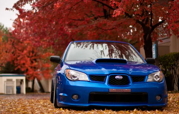 Autumn, nature, foliage, Subaru