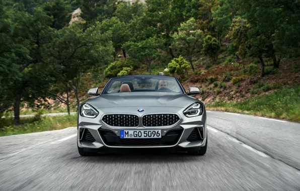 Picture road, grey, vegetation, BMW, Roadster, front view, BMW Z4, M40i
