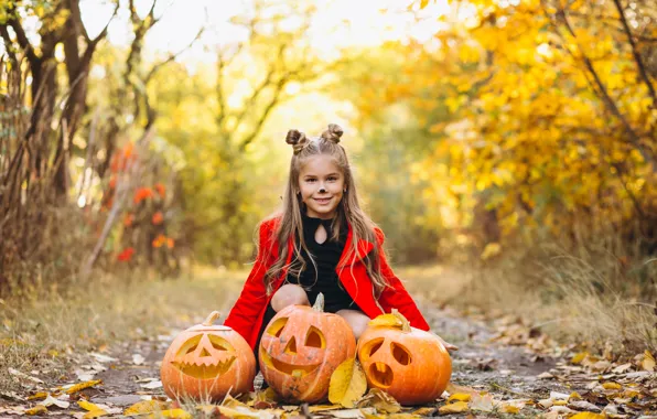 Road, autumn, look, leaves, nature, pose, Park, holiday