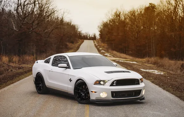 Picture Mustang, Ford, Shelby, GT500, Shelby GT500, Ford Mustang, Ford Mustang Shelby GT500