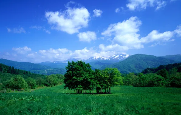 Picture the sky, grass, clouds, trees, mountains, valley, meadow